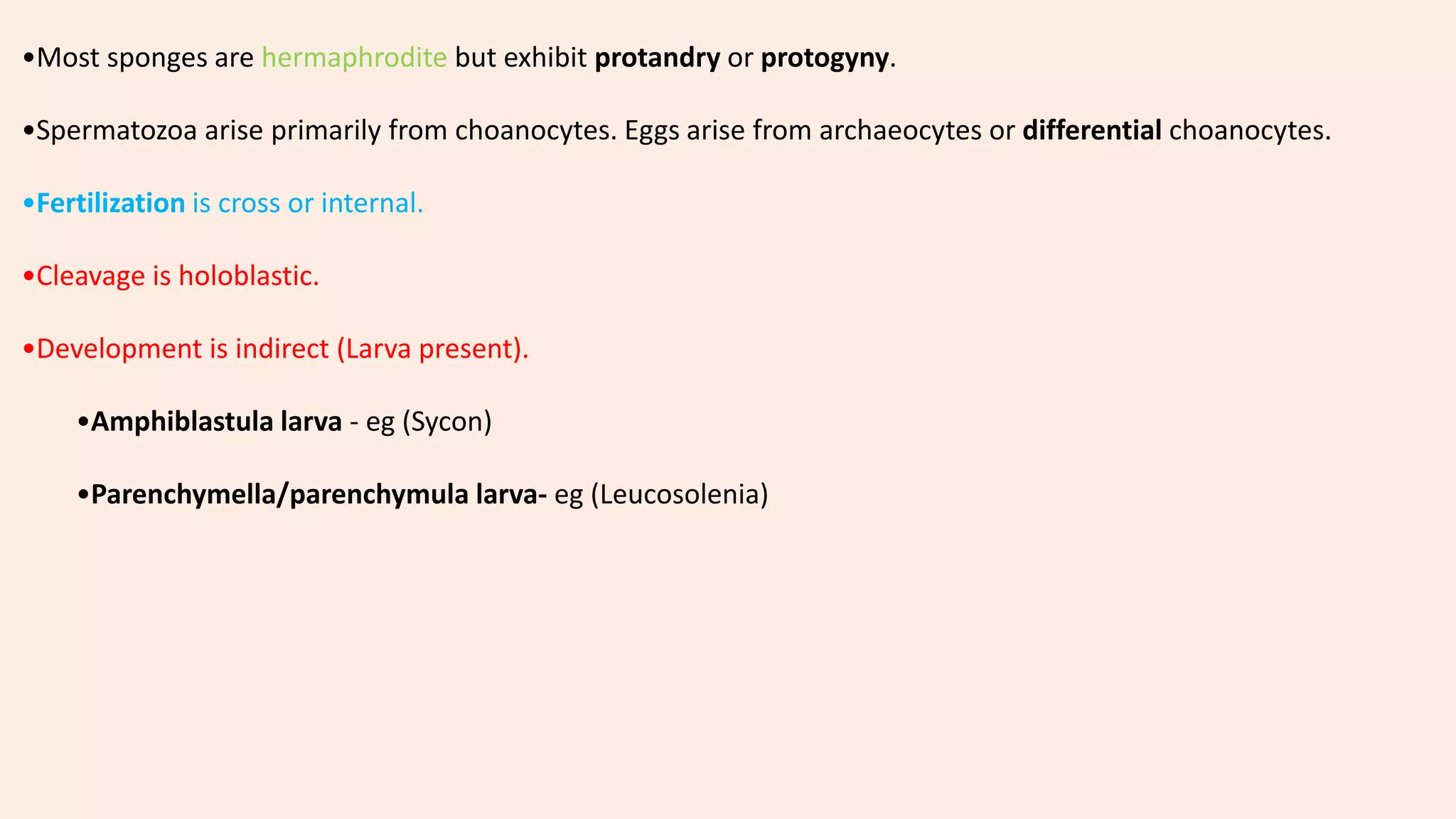 Classification of porifera