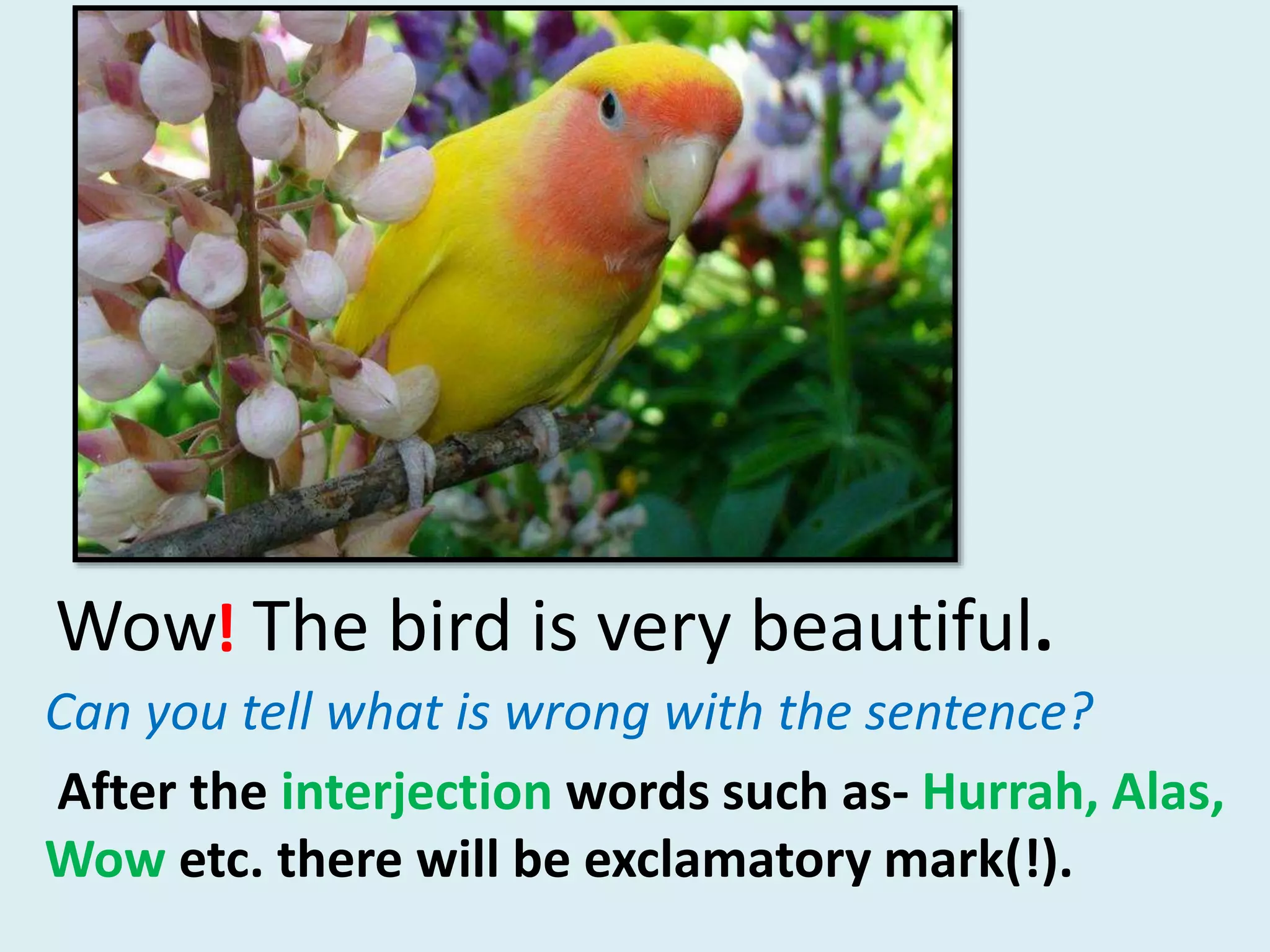 Wow The bird is very beautiful.!
Can you tell what is wrong with the sentence?
After the interjection words such as- Hurrah, Alas,
Wow etc. there will be exclamatory mark(!).
 