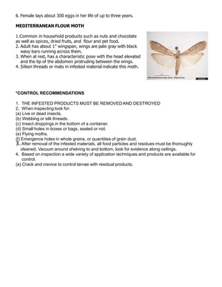 6. Female lays about 300 eggs in her life of up to three years.
MEDITERRANEAN FLOUR MOTH
1.Common in household products such as nuts and chocolate
as well as spices, dried fruits, and ﬂour and pet food.
2. Adult has about 1" wingspan, wings are pale gray with black
wavy bars running across them.
3. When at rest, has a characteristic pose with the head elevated
and the tip of the abdomen protruding between the wings.
4. Silken threads or mats in infested material indicate this moth.
*CONTROL RECOMMENDATIONS
1. THE INFESTED PRODUCTS MUST BE REMOVEDAND DESTROYED
2. When inspecting look for:
(a) Live or dead insects.
(b) Webbing or silk threads.
(c) Insect droppings in the bottom of a container.
(d) Small holes in boxes or bags, sealed or not.
(e) Flying moths.
(f) Emergence holes in whole grains, or quantities of grain dust.
3.After removal of the infested materials, all food particles and residues must be thoroughly
cleaned. Vacuum around shelving to and bottom, look for evidence along ceilings.
4. Based on inspection a wide variety of application techniques and products are available for
control.
(a) Crack and crevice to control larvae with residual products.
 