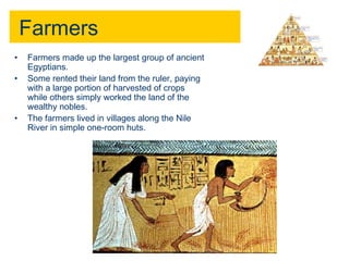 Farmers 
• Farmers made up the largest group of ancient 
Egyptians. 
• Some rented their land from the ruler, paying 
with a large portion of harvested of crops 
while others simply worked the land of the 
wealthy nobles. 
• The farmers lived in villages along the Nile 
River in simple one-room huts. 
 