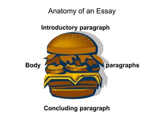 Anatomy of an Essay
Introductory paragraph
Body paragraphs
Concluding paragraph
 