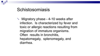 Schistosomiasis
 Migratory phase - 4-10 weeks after
infection. Is characterized by fever and
toxic or allergic reactions resulting from
migration of immature organisms.
Often results in bronchitis,
hepatomegaly, splenomegaly, and
diarrhea.
 