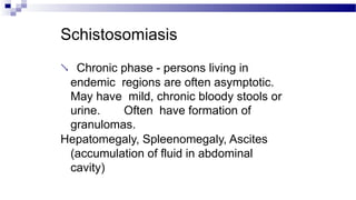 Schistosomiasis
 Chronic phase - persons living in
endemic regions are often asymptotic.
May have mild, chronic bloody stools or
urine. Often have formation of
granulomas.
Hepatomegaly, Spleenomegaly, Ascites
(accumulation of fluid in abdominal
cavity)
 