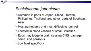 Schistosoma japonicum.
Common in parts of Japan, China, Taiwan,
Philippines, Thailand, and other parts of Southeast
Asia.
Most pathogenic and most difficult to control
Located in blood vessels of small intestine.
Eggs may lodge in brain causing CNS damage,
coma, and paralysis.
Low host specificity
 