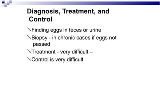 Diagnosis, Treatment, and
Control
Finding eggs in feces or urine
Biopsy - in chronic cases if eggs not
passed
Treatment - very difficult –
Control is very difficult
 