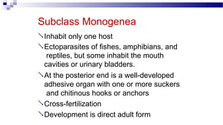 Subclass Monogenea
Inhabit only one host
Ectoparasites of fishes, amphibians, and
reptiles, but some inhabit the mouth
cavities or urinary bladders.
At the posterior end is a well-developed
adhesive organ with one or more suckers
and chitinous hooks or anchors
Cross-fertilization
Development is direct adult form
 