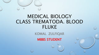 MEDICAL BIOLOGY
CLASS TREMATODA. BLOOD
FLUKE
KOMAL ZULFIQAR
MBBS STUDENT
 