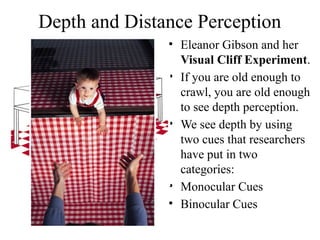 Class Unit 3 on biology of behavior ppt.pptx