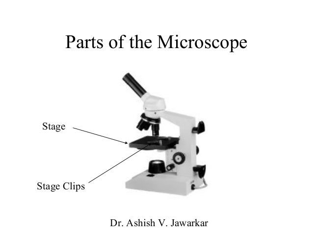microscopy