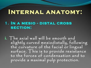 Internal anatomy: 
1. In a mesio - distal cross 
section: 
i. The axial wall will be smooth and 
slightly curved mesiodistally, following 
the curvature of the facial or lingual 
surface. This is to provide resistance 
to the forces of condensation and to 
provide a maximal pulp protection. 
 