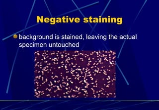 Megative Staining microscopy and staining | PPT