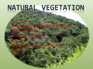 NATURAL VEGETATION
Prepared by: Name Rohit Roster .M.
Marak Rollno.45
Olibirth. D. Sangma
Roll no.41
Challang D. Sangma Roll no 8
Class viii
 