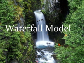 Waterfall Model

 
