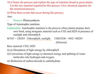 10.i) Name the process and explain the type of nutrition found in green plants.
List the raw material required for this process. Give chemical equation for
the mentioned process.
ii) Write three events that occur during this process.
Ans:
i) Process: Photosynthesis
Type of Autotrophic nutrition
Explanation: Autotrophic nutrition is the process where plants prepare their
own food, using inorganic material such as CO2 and H2O in presence of
sunlight and chlorophyll.
6CO2 + 12H2O Chlorophyll, sunlight C6H12O6 + 6O2 +6H2O
(Glucose)
Raw material: CO2, H2O
ii) a) Absorption of light energy by chlorophyll.
ii) Conversion of light energy to chemical energy and splitting of water
molecules into hydrogen and oxygen.
iii) Reduction of carbon dioxide to carbohydrate
 