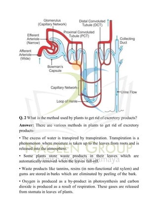 Class 10 Science NCERT Solution Chapter 5 Life Processes | PDF