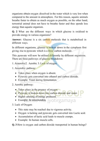 Class 10 Science NCERT Solution Chapter 5 Life Processes | PDF