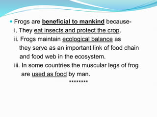  Frogs are beneficial to mankind because-
i. They eat insects and protect the crop.
ii. Frogs maintain ecological balance as
they serve as an important link of food chain
and food web in the ecosystem.
iii. In some countries the muscular legs of frog
are used as food by man.
********
 