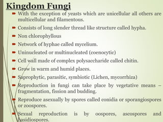 Kingdom Fungi
 With the exception of yeasts which are unicellular all others are
multicellular and filamentous.
 Consists of long slender thread like structure called hypha.
 Non chlorophyllous
 Network of hyphae called mycelium.
 Uninucleated or multinucleated (coenocytic)
 Cell wall made of complex polysaccharide called chitin.
 Grow in warm and humid places.
 Saprophytic, parasitic, symbiotic (Lichen, mycorrhiza)
 Reproduction in fungi can take place by vegetative means –
fragmentation, fission and budding.
 Reproduce asexually by spores called conidia or sporangiospores
or zoospores.
 Sexual reproduction is by oospores, ascospores and
basidiospores.
 