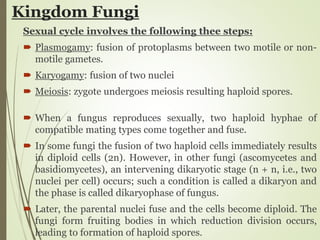 Kingdom Fungi
Sexual cycle involves the following thee steps:
 Plasmogamy: fusion of protoplasms between two motile or non-
motile gametes.
 Karyogamy: fusion of two nuclei
 Meiosis: zygote undergoes meiosis resulting haploid spores.
 When a fungus reproduces sexually, two haploid hyphae of
compatible mating types come together and fuse.
 In some fungi the fusion of two haploid cells immediately results
in diploid cells (2n). However, in other fungi (ascomycetes and
basidiomycetes), an intervening dikaryotic stage (n + n, i.e., two
nuclei per cell) occurs; such a condition is called a dikaryon and
the phase is called dikaryophase of fungus.
 Later, the parental nuclei fuse and the cells become diploid. The
fungi form fruiting bodies in which reduction division occurs,
leading to formation of haploid spores.
 