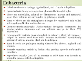 Eubacteria
 Called true bacteria having a rigid cell wall, and if motile a flagellum.
 Cyanobacteria (blue green algae) are photosynthetic autotrophs.
 These are unicellular, colonial or filamentous, marine and terrestrial
algae. Their colonies are surrounded by gelatinous sheath.
 Some of these can fix atmospheric nitrogen by specialized cells called
heterocyst, e.g. Nostoc and Anabaena.
 Chemosynthetic autotrophs: Oxidize various inorganic substances like
nitrates/nitrites, ammonia and use released energy for their ATP
production.
 Heterotrophic bacteria (most abundant in nature) : Mostly decomposer,
Helpful in making curd from milk, Produce antibiotics. Symbiotically
associated with leguminous plant and fix nitrogen.
 Some bacteria are pathogen causing diseases like cholera, typhoid, and
tetanus.
 Bacteria reproduce mainly by fission, also produce spore in unfavorable
condition.
 Reproduce sexually (sort of) by transfer of DNA form one bacteria to
other, the process called conjugation.
 