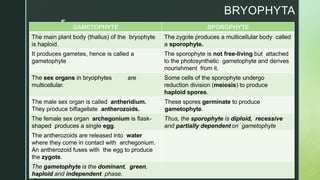 z
BRYOPHYTA
GAMETOPHYTE SPOROPHYTE
The main plant body (thallus) of the bryophyte
is haploid.
The zygote produces a multicellular body called
a sporophyte.
It produces gametes, hence is called a
gametophyte
The sporophyte is not free-living but attached
to the photosynthetic gametophyte and derives
nourishment from it.
The sex organs in bryophytes are
multicellular.
Some cells of the sporophyte undergo
reduction division (meiosis) to produce
haploid spores.
The male sex organ is called antheridium.
They produce biflagellate antherozoids.
These spores germinate to produce
gametophyte.
The female sex organ archegonium is flask-
shaped produces a single egg.
Thus, the sporophyte is diploid, recessive
and partially dependent on gametophyte
The antherozoids are released into water
where they come in contact with archegonium.
An antherozoid fuses with the egg to produce
the zygote.
The gametophyte is the dominant, green,
haploid and independent phase.
 