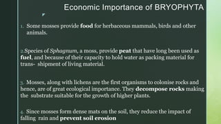 z
Economic Importance of BRYOPHYTA
1. Some mosses provide food for herbaceous mammals, birds and other
animals.
2.Species of Sphagnum, a moss, provide peat that have long been used as
fuel, and because of their capacity to hold water as packing material for
trans- shipment of living material.
3. Mosses, along with lichens are the first organisms to colonise rocks and
hence, are of great ecological importance. They decompose rocks making
the substrate suitable for the growth of higher plants.
4. Since mosses form dense mats on the soil, they reduce the impact of
falling rain and prevent soil erosion
 