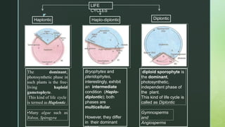 z
LIFE
CYCLES
Haplo-diplontic Diplontic
Haplontic
The dominant,
photosynthetic phase in
such plants is the free-
living haploid
gametophyte.
This kind of life cycle
is termed as Haplontic.
•Many algae such as
Volvox, Spirogyra
diploid sporophyte is
the dominant,
photosynthetic,
independent phase of
the plant.
This kind of life cycle is
called as Diplontic
Gymnosperms
and
Angiosperms
Bryophytes and
pteridophytes,
interestingly, exhibit
an intermediate
condition (Haplo-
diplontic); both
phases are
multicellular.
However, they differ
in their dominant
 