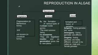 z
REPRODUCTION IN ALGAE
Reproduction
Vegetative
Sexual
Asexual
Fragmentation (in
filamentous
forms)
and
cell division (in
unicellular
forms).
By the formation
of various types of
non-
motile o r motile
spores.
The most common
being
the zoospores.
They are flagellated
(motile) and on
germination gives rise
to new plants.
formation and
fusion of
gametes.
Isogamy : fusing gametes
are same
Anisogamy : fusing
gametes are different
Oogamy : fusing
gametes are totally
different, enough to be
called as male and
female gametes
 