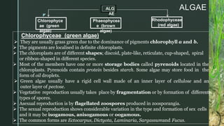 z
ALGAE
ALG
AE
Chlorophyce
ae (green
algae)
Rhodophyceae
(red algae)
Phaeophycea
e (brown
algae)
Chlorophyceae (green algae)
 They are usually grass green due to the dominance of pigments chlorophyll a and b.
 The pigments are localised in definite chloroplasts.
 The chloroplasts are of different shapes; discoid, plate-like, reticulate, cup-shaped, spiral
or ribbon-shaped in different species.
 Most of the members have one or more storage bodies called pyrenoids located in the
chloroplasts. Pyrenoids contain protein besides starch. Some algae may store food in the
form of oil droplets.
 Green algae usually have a rigid cell wall made of an inner layer of cellulose and an
outer layer of pectose.
 Vegetative reproduction usually takes place by fragmentation or by formation of different
types of spores.
 Asexual reproduction is by flagellated zoospores produced in zoosporangia.
 The sexual reproduction shows considerable variation in the type and formation of sex cells
and it may be isogamous, anisogamous or oogamous.
 The common forms are Ectocarpus, Dictyota, Laminaria, Sargassumand Fucus.
 