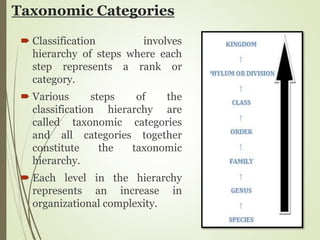Taxonomic Categories
 Classification involves
hierarchy of steps where each
step represents a rank or
category.
 Various steps of the
classification hierarchy are
called taxonomic categories
and all categories together
constitute the taxonomic
hierarchy.
 Each level in the hierarchy
represents an increase in
organizational complexity.
 