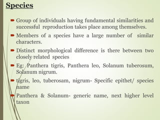 Species
 Group of individuals having fundamental similarities and
successful reproduction takes place among themselves.
 Members of a species have a large number of similar
characters.
 Distinct morphological difference is there between two
closely related species
 Eg: Panthera tigris, Panthera leo, Solanum tuberosum,
Solanum nigrum.
 tigris, leo, tuberosam, nigrum- Specific epithet/ species
name
 Panthera & Solanum- generic name, next higher level
taxon
 