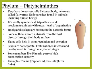 Phylum – Platyhelminthes
• They have dorso-ventrally flattened body, hence are
called flatworms. Endoparasites found in animals
including human beings
• Bilaterally symmetrical, triploblastic and
acoelomate animals with organ level of organization
• Hooks and suckers are present in the parasitic forms
• Some of them absorb nutrients from the host
directly through their body surface
• Flame cells help in osmoregulation and excretion
• Sexes are not separate. Fertilization is internal and
development is through many larval stages
• Some members like Planaria possess high
regeneration capacity
• Examples: Taenia (Tapeworm), Fasciola (Liver
fluke).
 
