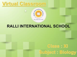 RALLI INTERNATIONAL SCHOOL
 