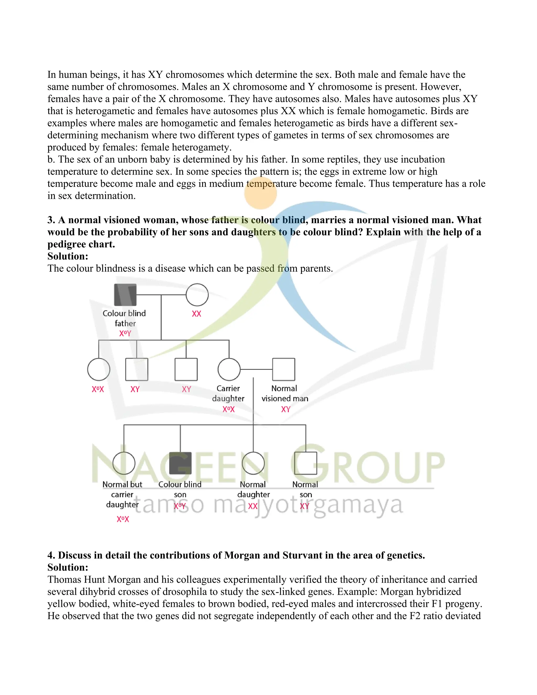 In human beings, it has XY chromosomes which determine the sex. Both male and female have the
same number of chromosomes. Males an X chromosome and Y chromosome is present. However,
females have a pair of the X chromosome. They have autosomes also. Males have autosomes plus XY
that is heterogametic and females have autosomes plus XX which is female homogametic. Birds are
examples where males are homogametic and females heterogametic as birds have a different sex-
determining mechanism where two different types of gametes in terms of sex chromosomes are
produced by females: female heterogamety.
b. The sex of an unborn baby is determined by his father. In some reptiles, they use incubation
temperature to determine sex. In some species the pattern is; the eggs in extreme low or high
temperature become male and eggs in medium temperature become female. Thus temperature has a role
in sex determination.
3. A normal visioned woman, whose father is colour blind, marries a normal visioned man. What
would be the probability of her sons and daughters to be colour blind? Explain with the help of a
pedigree chart.
Solution:
The colour blindness is a disease which can be passed from parents.
4. Discuss in detail the contributions of Morgan and Sturvant in the area of genetics.
Solution:
Thomas Hunt Morgan and his colleagues experimentally verified the theory of inheritance and carried
several dihybrid crosses of drosophila to study the sex-linked genes. Example: Morgan hybridized
yellow bodied, white-eyed females to brown bodied, red-eyed males and intercrossed their F1 progeny.
He observed that the two genes did not segregate independently of each other and the F2 ratio deviated
 