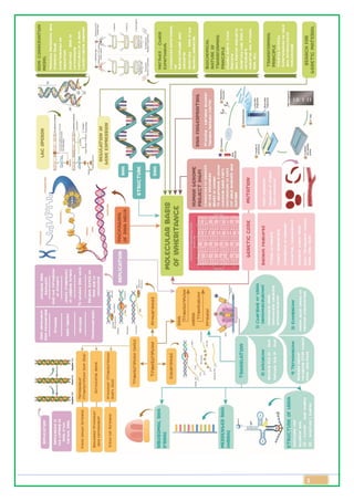 Class 12 Biology Topic Wise Line by Line Chapter 5 Molecular Basis of ...