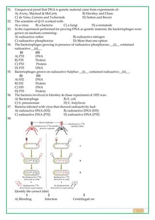 Class 12 Biology Topic Wise Line by Line Questions Chapter 5 Molecular ...