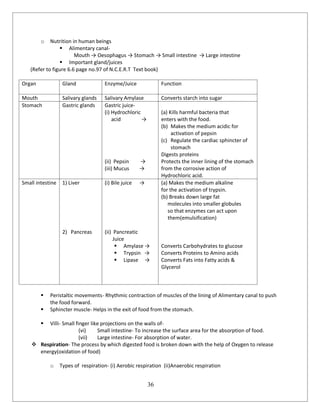 36
o Nutrition in human beings
 Alimentary canal-
Mouth → Oesophagus → Stomach → Small intestine → Large intestine
 Important gland/juices
(Refer to figure 6.6 page no.97 of N.C.E.R.T Text book)
Organ Gland Enzyme/Juice Function
Mouth Salivary glands Salivary Amylase Converts starch into sugar
Stomach Gastric glands Gastric juice-
(i) Hydrochloric
acid →
(ii) Pepsin →
(iii) Mucus →
(a) Kills harmful bacteria that
enters with the food.
(b) Makes the medium acidic for
activation of pepsin
(c) Regulate the cardiac sphincter of
stomach
Digests proteins
Protects the inner lining of the stomach
from the corrosive action of
Hydrochloric acid.
Small intestine 1) Liver
2) Pancreas
(i) Bile juice →
(ii) Pancreatic
Juice
 Amylase →
 Trypsin →
 Lipase →
(a) Makes the medium alkaline
for the activation of trypsin.
(b) Breaks down large fat
molecules into smaller globules
so that enzymes can act upon
them(emulsification)
Converts Carbohydrates to glucose
Converts Proteins to Amino acids
Converts Fats into Fatty acids &
Glycerol
 Peristaltic movements- Rhythmic contraction of muscles of the lining of Alimentary canal to push
the food forward.
 Sphincter muscle- Helps in the exit of food from the stomach.
 Villi- Small finger like projections on the walls of-
(vi) Small intestine- To increase the surface area for the absorption of food.
(vii) Large intestine- For absorption of water.
 Respiration- The process by which digested food is broken down with the help of Oxygen to release
energy(oxidation of food)
o Types of respiration- (i) Aerobic respiration (ii)Anaerobic respiration
 
