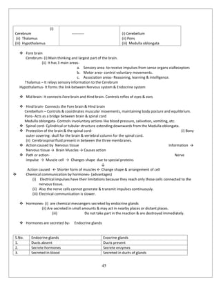 45
(i)
Cerebrum
(ii) Thalamus
(iii) Hypothalamus
---------- (i) Cerebellum
(ii) Pons
(iii) Medulla oblongata
 Fore brain
Cerebrum- (i) Main thinking and largest part of the brain.
(ii) It has 3 main areas-
a. Sensory area- to receive impulses from sense organs viaReceptors
b. Motor area- control voluntary movements.
c. Association areas- Reasoning, learning & intelligence.
Thalamus – It relays sensory information to the Cerebrum
Hypothalamus- It forms the link between Nervous system & Endocrine system
 Mid brain- It connects Fore brain and Hind brain. Controls reflex of eyes & ears
 Hind brain- Connects the Fore brain & Hind brain
Cerebellum – Controls & coordinates muscular movements, maintaining body posture and equilibrium.
Pons- Acts as a bridge between brain & spinal cord
Medulla oblongata- Controls involuntary actions like blood pressure, salivation, vomiting, etc.
 Spinal cord- Cylindrical or tubular structure extending downwards from the Medulla oblongata.
 Protection of the brain & the spinal cord- (i) Bony
outer covering: skull for the brain & vertebral column for the spinal cord.
(ii) Cerebrospinal fluid present in between the three membranes.
 Action caused by Nervous tissue Information →
Nervous tissue → Brain Muscles → Causes action
 Path or action- Nerve
impulse → Muscle cell → Changes shape due to special proteins
↓
Action caused ← Shorter form of muscles ← Change shape & arrangement of cell
 Chemical communication by hormones- (advantages)
(i) Electrical impulses have their limitations because they reach only those cells connected to the
nervous tissue.
(ii) Also the nerve cells cannot generate & transmit impulses continuously.
(iii) Electrical communication is slower.
 Hormones- (i) are chemical messengers secreted by endocrine glands
(ii) Are secreted in small amounts & may act in nearby places or distant places.
(iii) Do not take part in the reaction & are destroyed immediately.
 Hormones are secreted by- Endocrine glands
S.No. Endocrine glands Exocrine glands
1. Ducts absent Ducts present
2. Secrete hormones Secrete enzymes
3. Secreted in blood Secreted in ducts of glands
 
