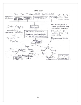 87
MIND MAP
 