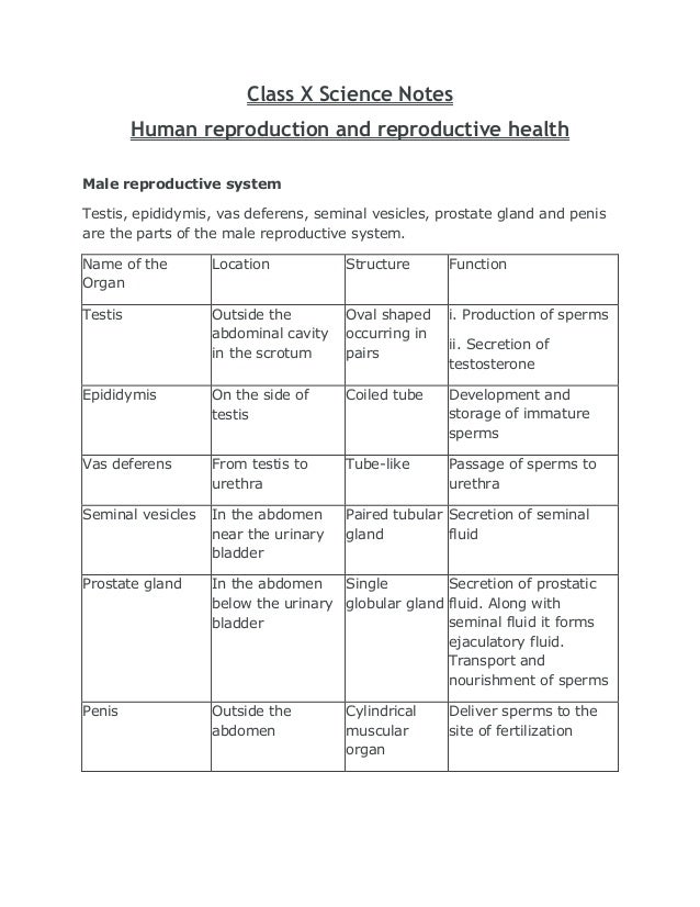 Class X Science Notes Human reproduction and reproductive health