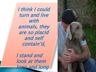 I think I could
turn and live
with
animals, they
are so placid
and self
contain’d,
I stand and
look at them
long and long

 