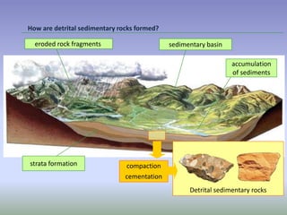 How are detrital sedimentary rocks formed?

  eroded rock fragments                      sedimentary basin

                                                                 accumulation
                                                                 of sediments




strata formation               compaction
                               cementation
                                                   Detrital sedimentary rocks
 