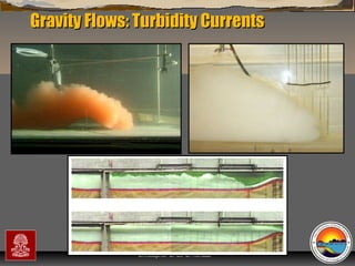 Gravity Flows: Turbidity Currents

“Clastic Hierarchies”
Christopher G. St. C. Kendall

 