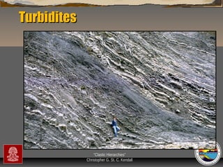 Turbidites

“Clastic Hierarchies”
Christopher G. St. C. Kendall

 