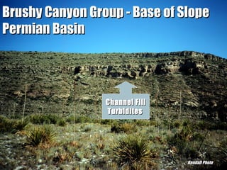 Brushy Canyon Group - Base of Slope
Permian Basin

Channel Fill
Turbidites

“Clastic Hierarchies”
Christopher G. St. C. Kendall

Kendall Photo

 
