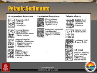 Pelagic Sediments

“Clastic Hierarchies”
Christopher G. St. C. Kendall

 