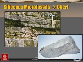 Siliceous Microfossils  Chert

“Clastic Hierarchies”
Christopher G. St. C. Kendall

 