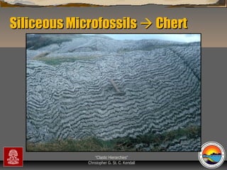 Siliceous Microfossils  Chert

“Clastic Hierarchies”
Christopher G. St. C. Kendall

 