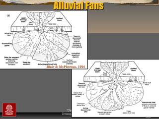 Alluvial Fans

Blair & McPherson. 1994

“Clastic Hierarchies”
Christopher G. St. C. Kendall

 