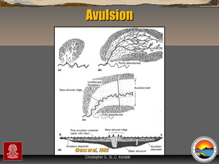Avulsion

Cross et al., 1989
“Clastic Hierarchies”
Christopher G. St. C. Kendall

 